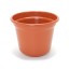 TERRACOTA