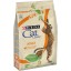ALIMENTO SECO PARA GATO FRANGO 3 KG
