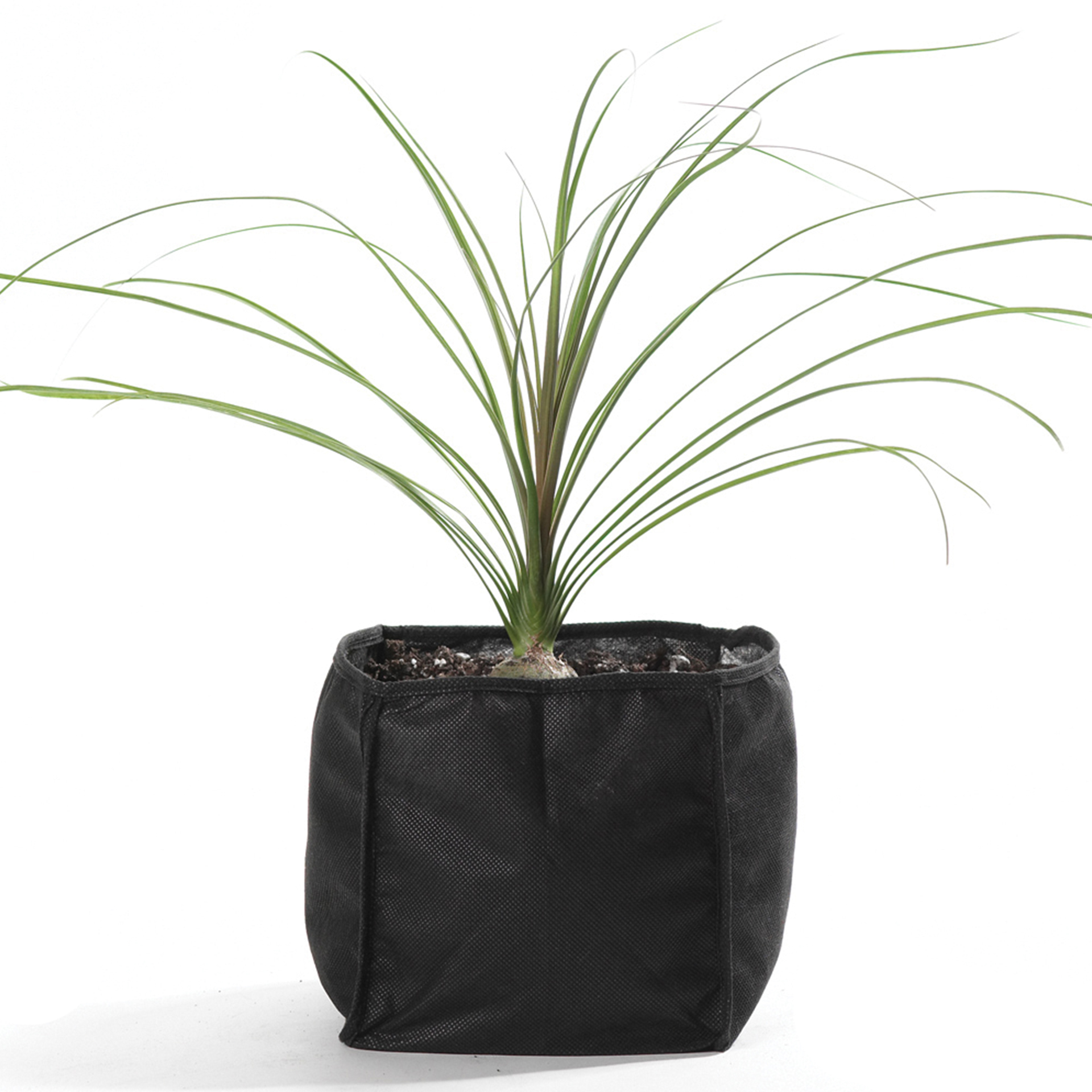 Acessório p/ Lagos Saco Plantação 18X18X18CM Ubbin