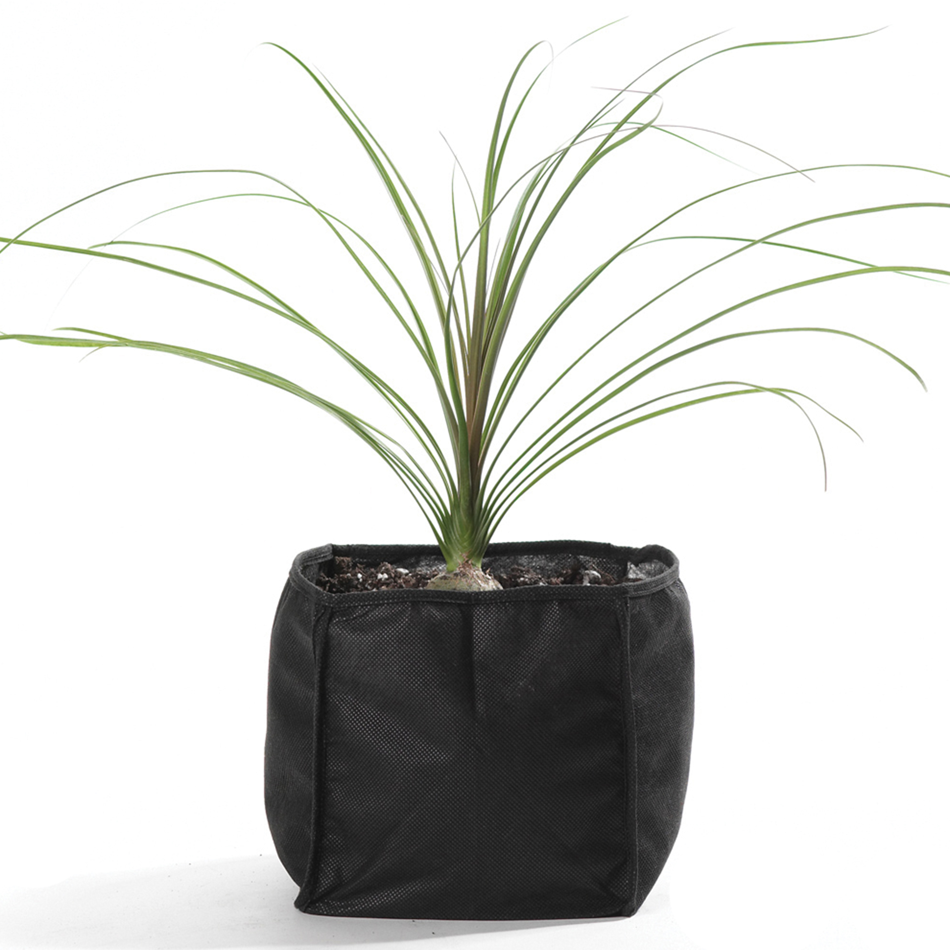 Acessório p/ Lagos Saco Plantação 30X30X25CM Ubbin