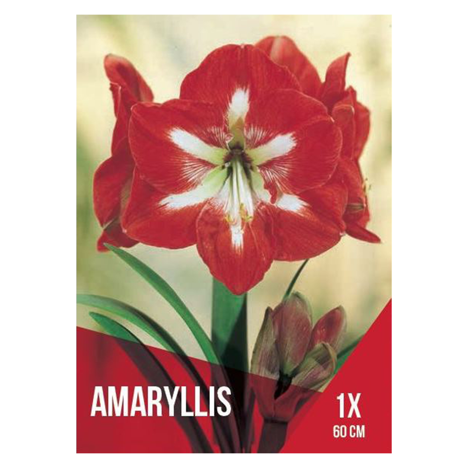 Amarilio Vermelho Branco 1 Bolbo