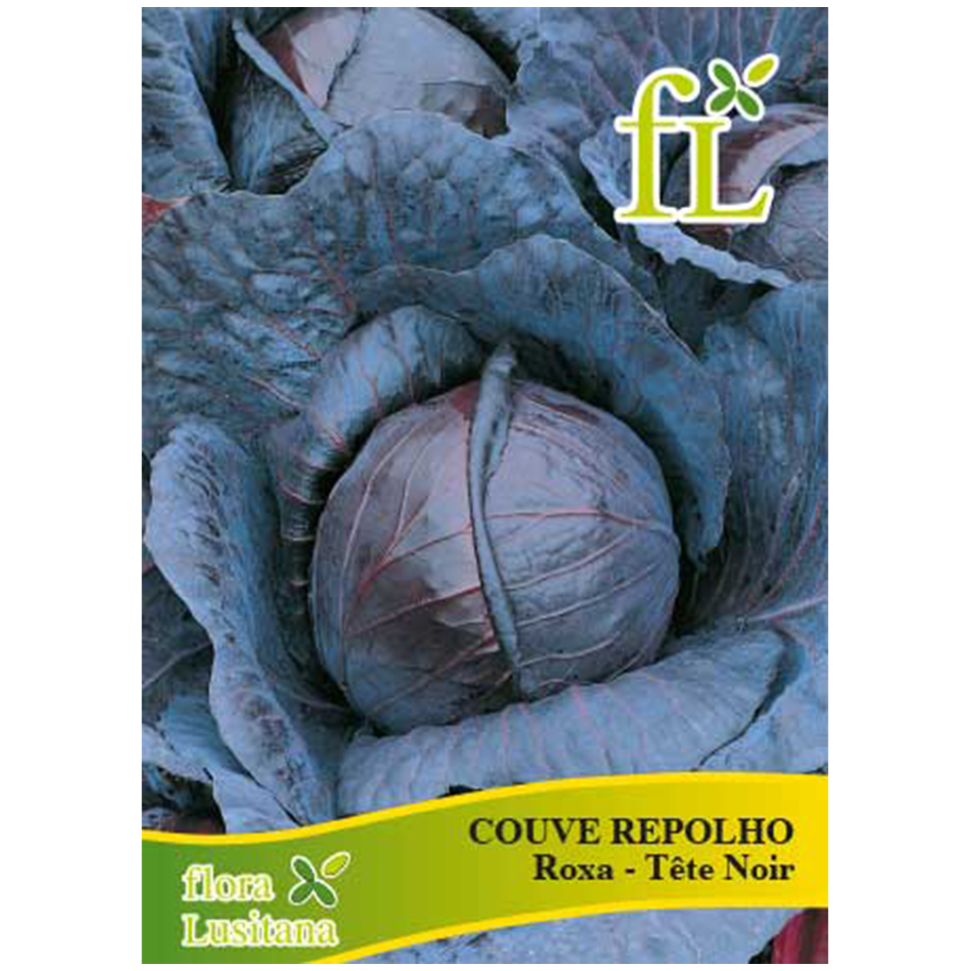 Couve Repolho Roxa 10 G FLORA LUSITANA
