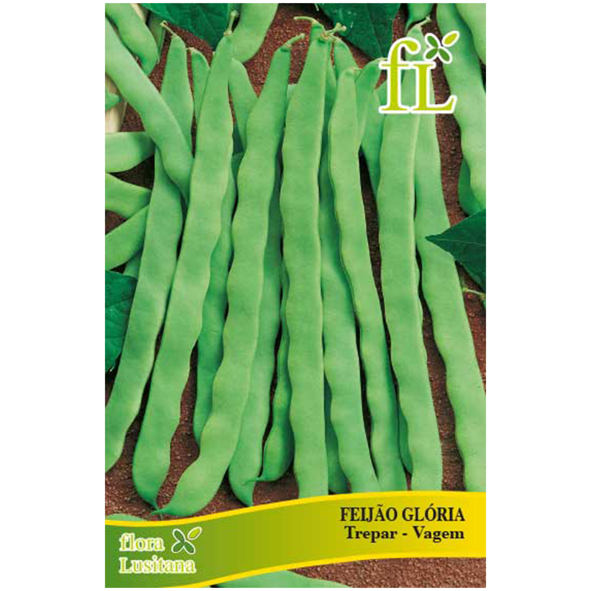 Feijão Glória Trepar 100 G FLORA LUSITANA