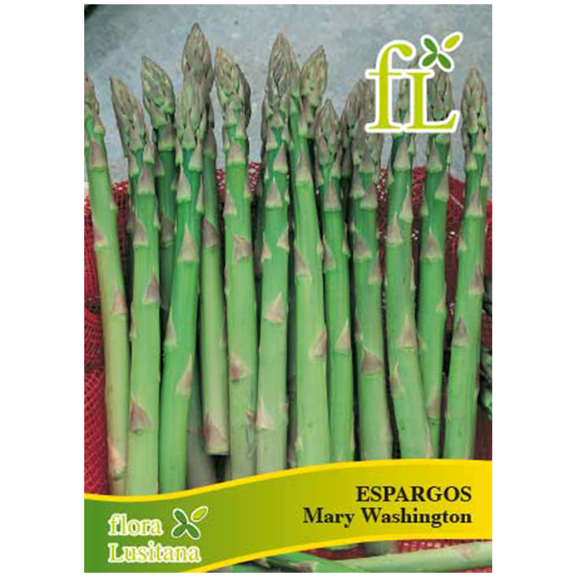 Espargo Mary Washington 3 G FLORA LUSITANA