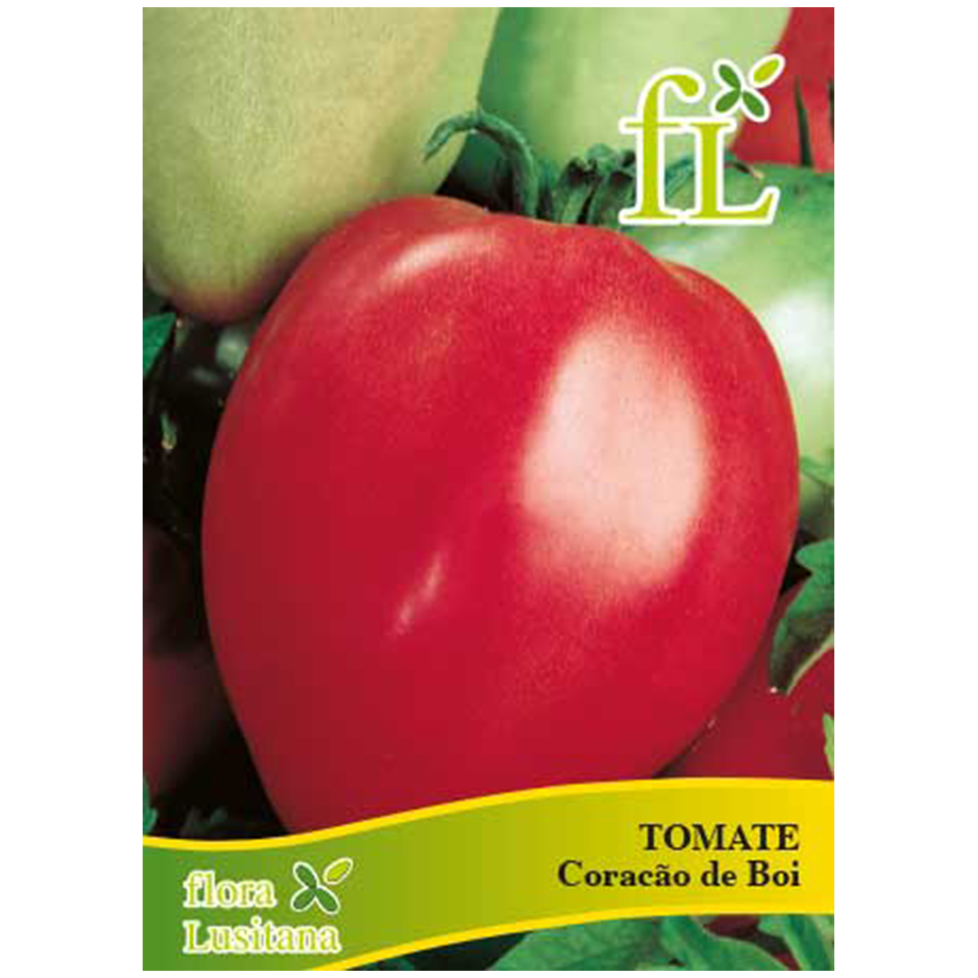 Tomate Coração de Boi 5 G FLORA LUSITANA
