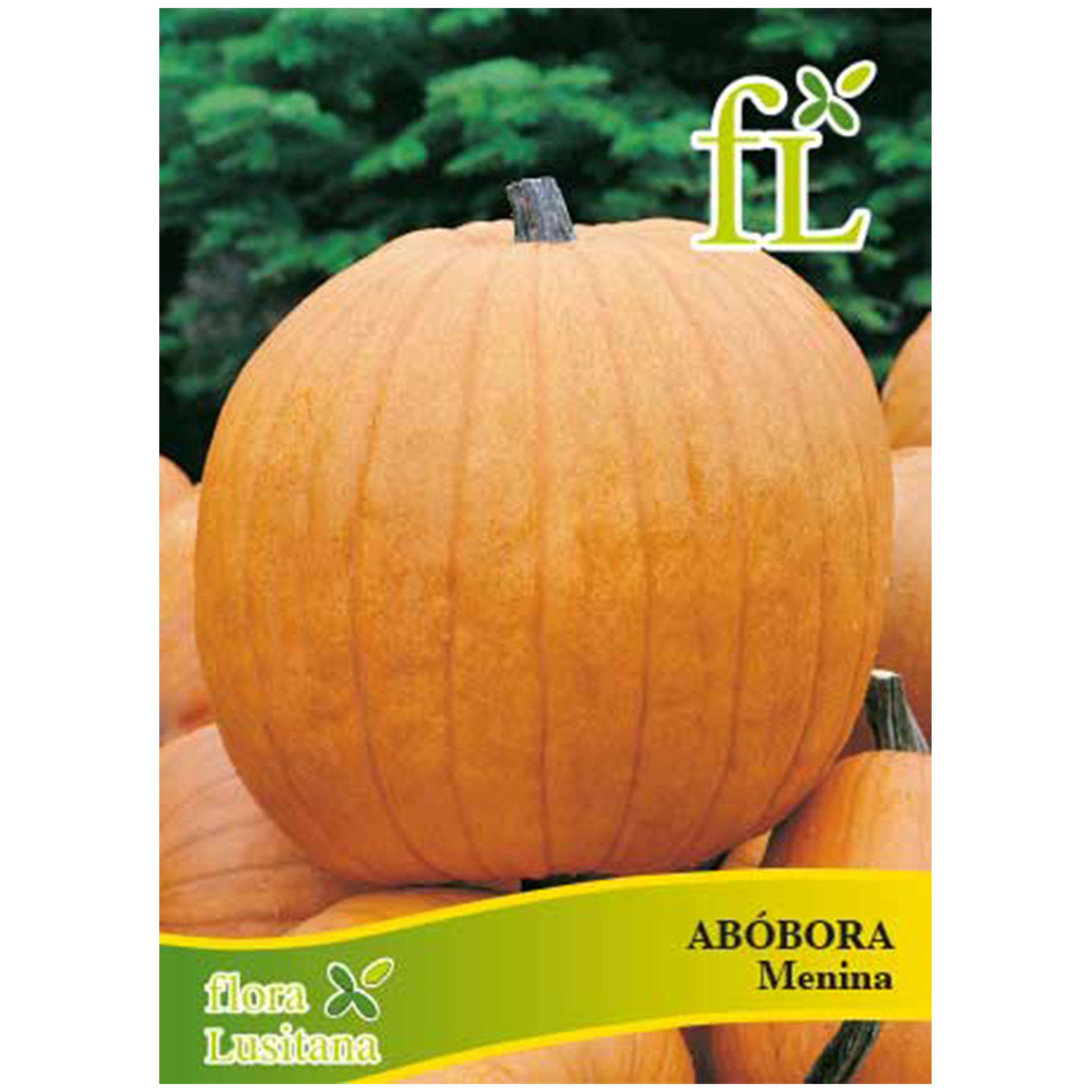 Abóbora Menina 10 G FLORA LUSITANA