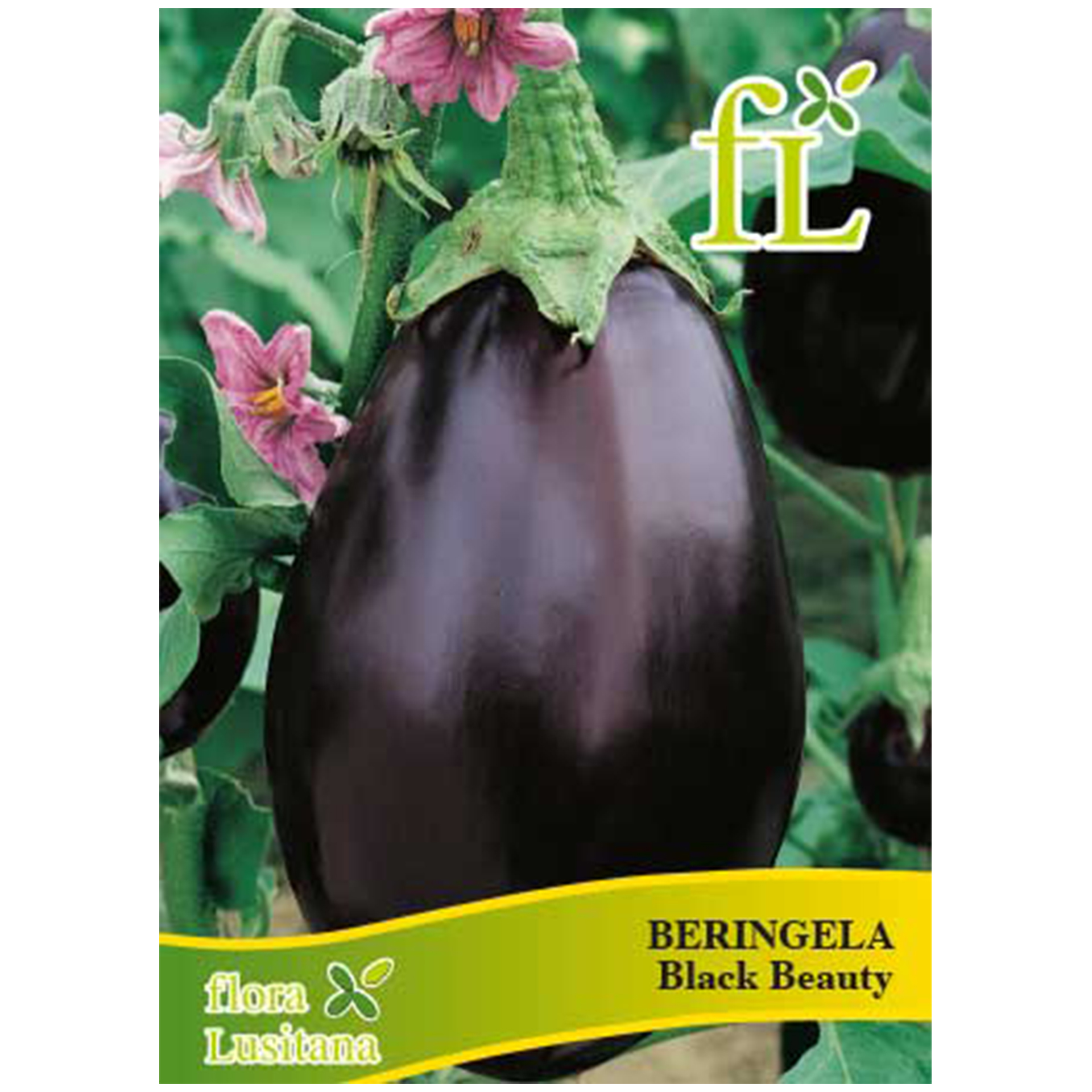 Beringela Black Beauty 10 G FLORA LUSITANA