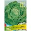 ALFACE MARAVILHA MERCADOS 10 G