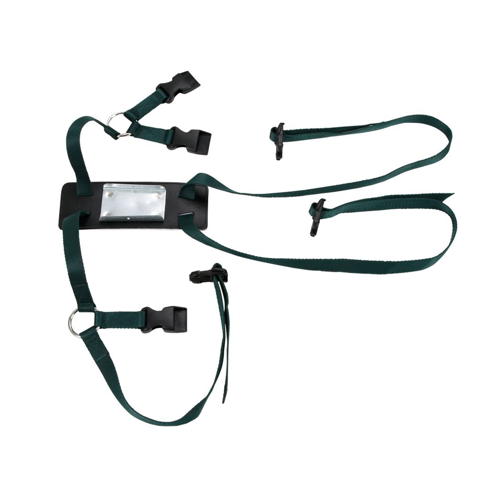 Arnes p/Marcação de Ovinos