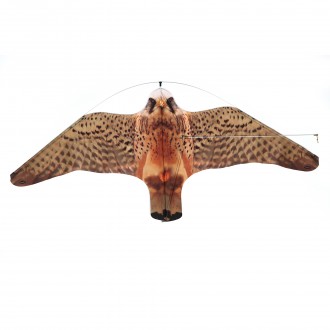 FALCO ESPANTALHO