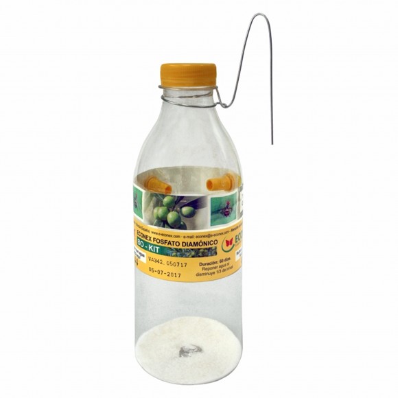 KIT BACTROCERA