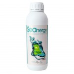 Seanergy 1LT  KIMITEC
