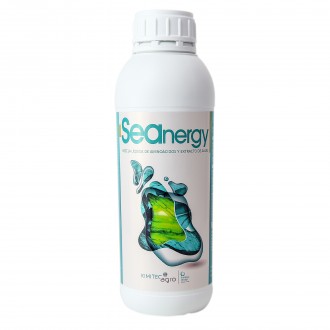 Seanergy 1LT