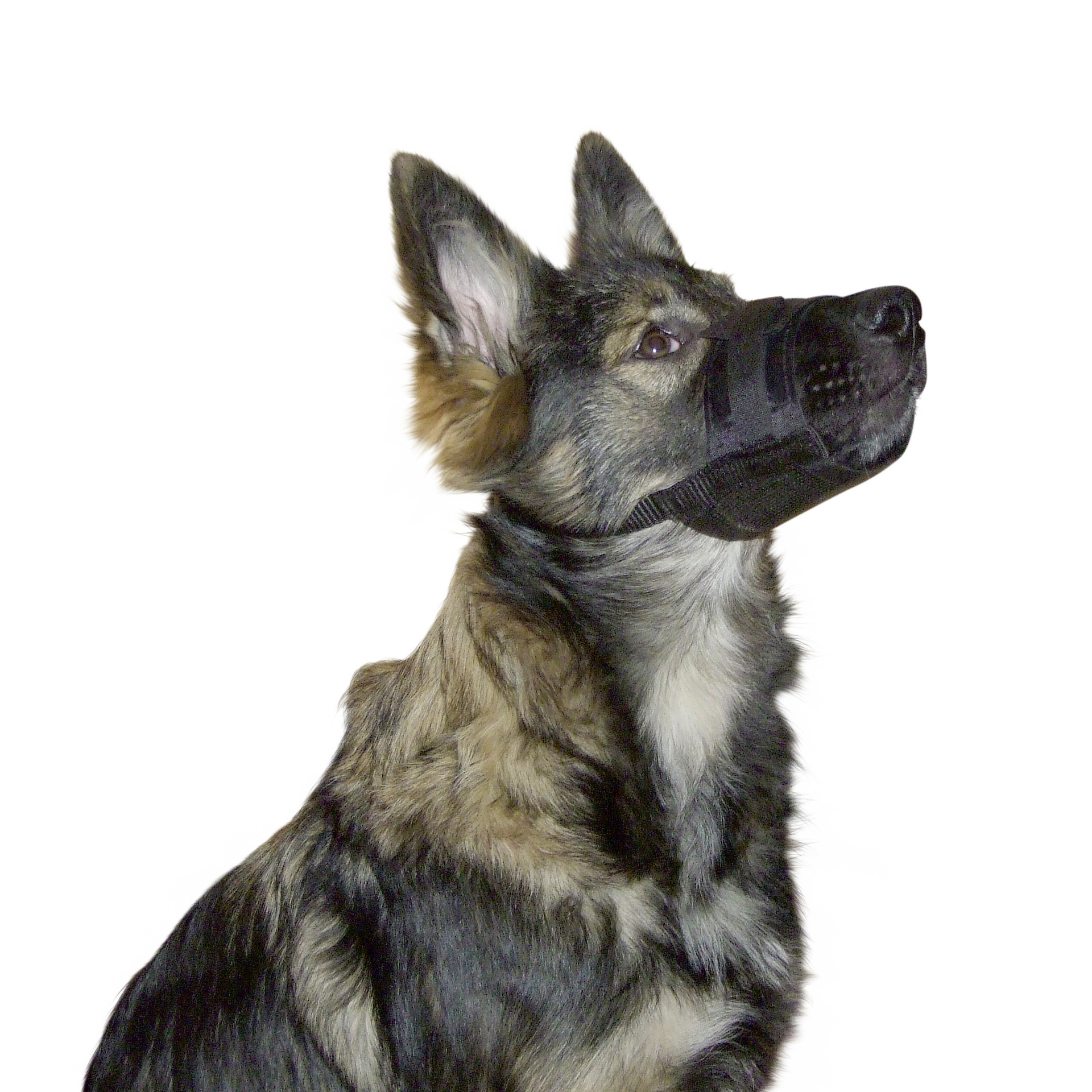 Açaime Nylon Para Cão 12-14CM KERBL