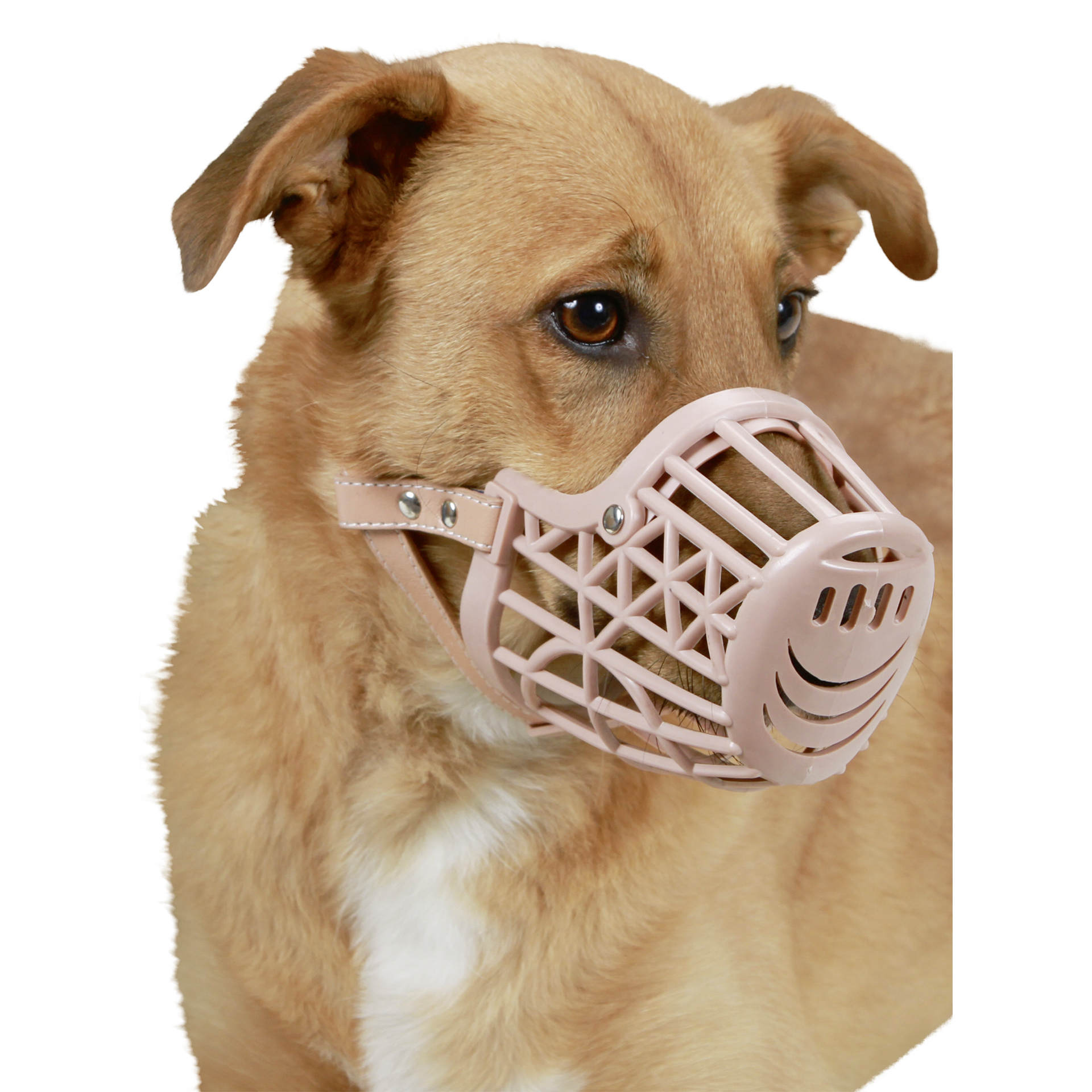 Açaime de Plástico para Cão 18 CM KERBL