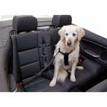Peitoral Segurana Carro Para Co 30-60CM KERBL