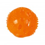 BRINQUEDO PARA CO BOLA RESISTENTE LARANJA