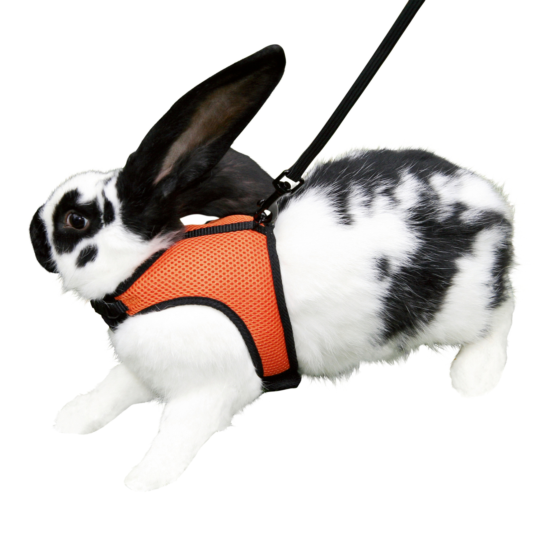 Peitoral P/Roedores 14-18 CM KERBL