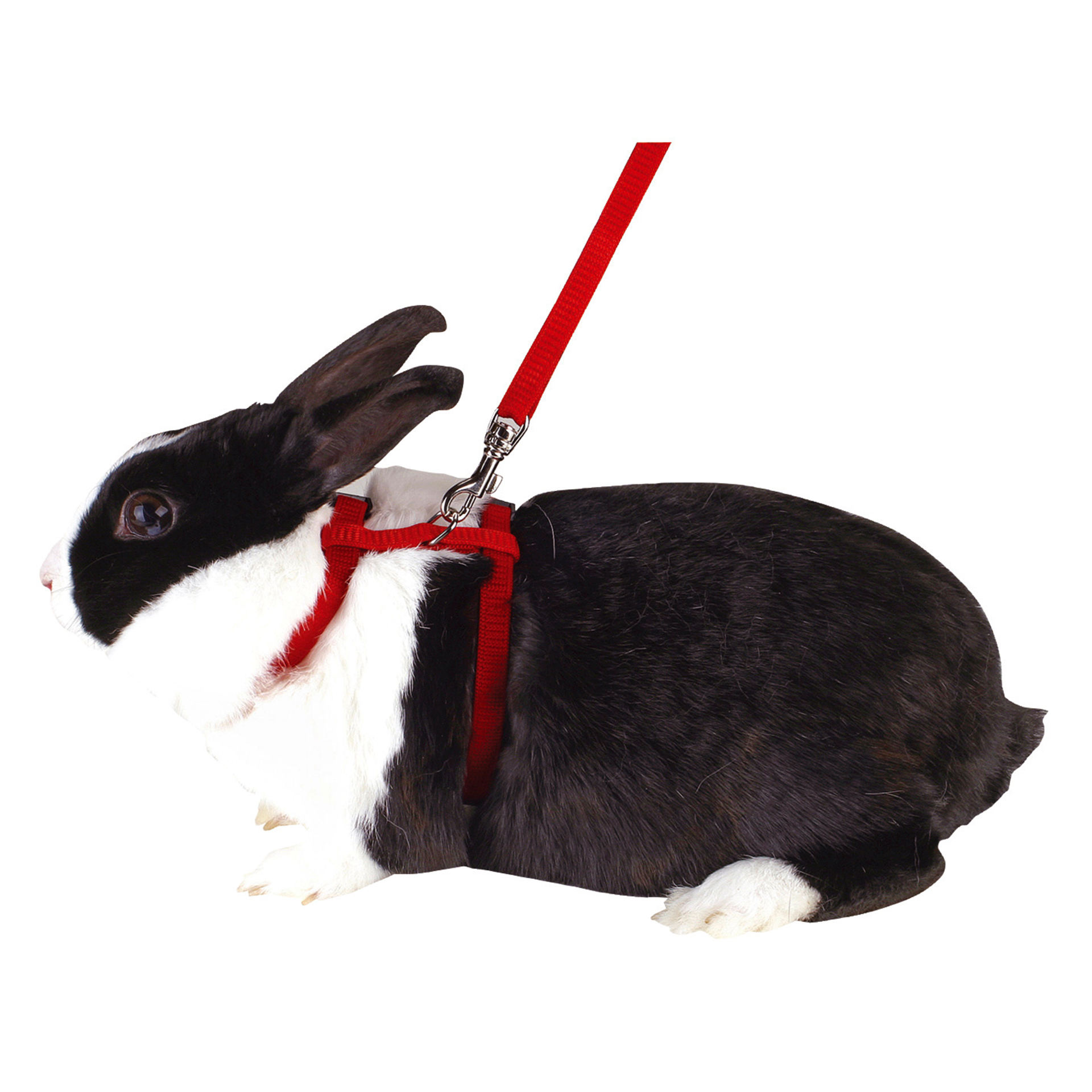 Peitoral P/Roedores 140 CM KERBL