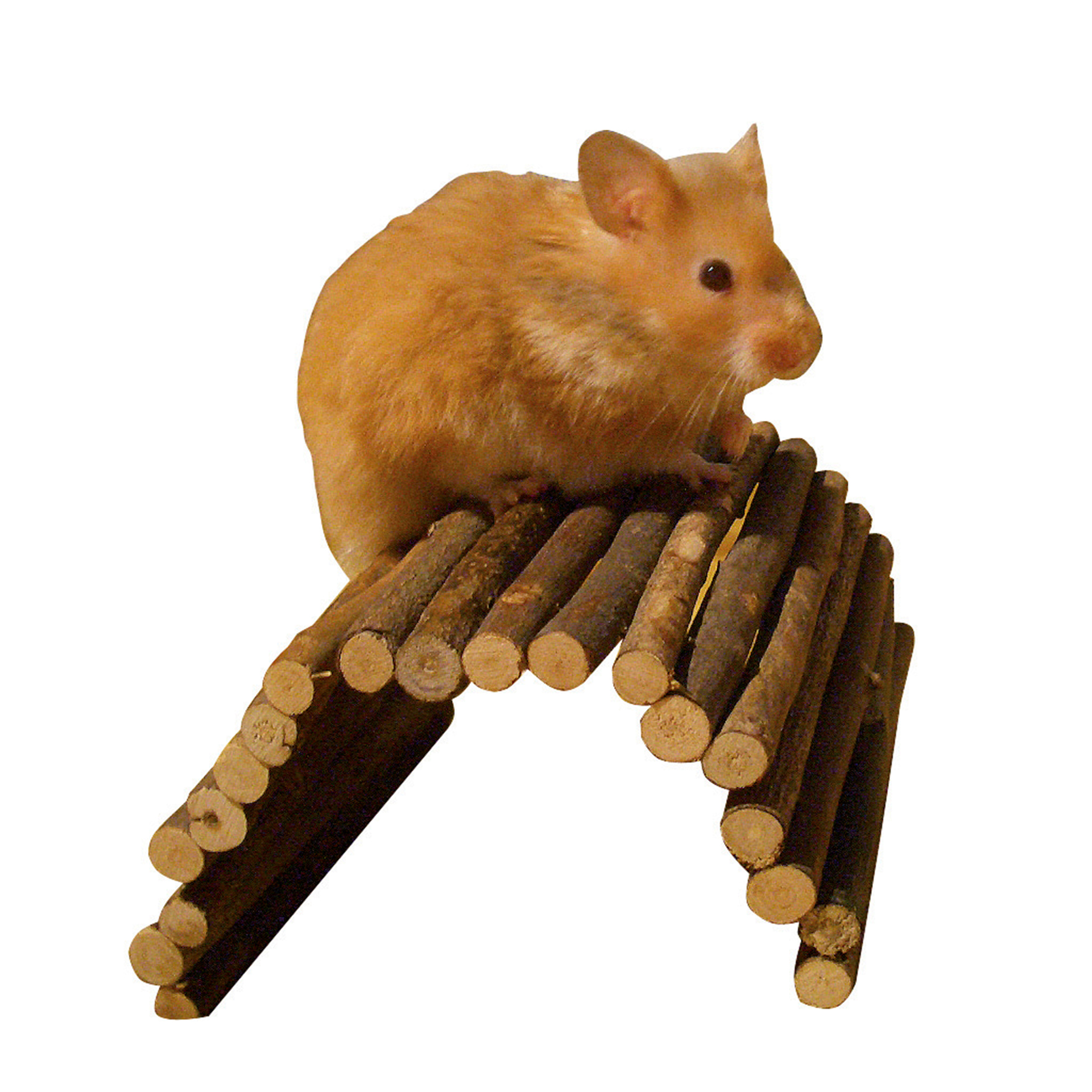 Ponte De Madeira Hamster 21 CM KERBL