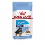 Alimento Húmido Cachorro Maxi 140 G ROYAL CANIN Alimento Húmido Cachorro Maxi 140 G ROYAL CANIN