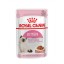 ALIMENTO HMIDO PARA GATINHO GRAVY 85 GR