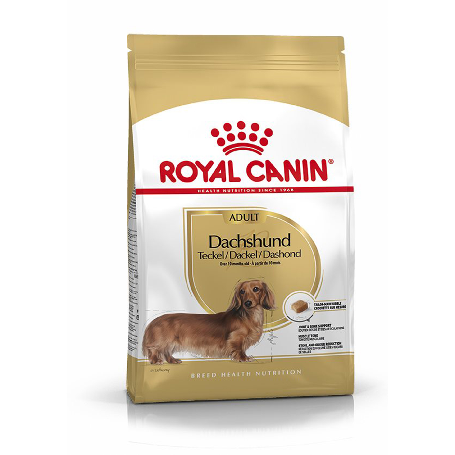 Alimento Seco Cão Dachshund 7,5 KG ROYAL CANIN