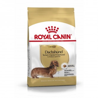 ALIMENTO SECO PARA CO DACHSHUND