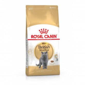 ALIMENTO SECO PARA GATO BRITISH SHORTHAIR 2 KG
