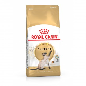 ALIMENTO SECO P/GATO SIAMESE