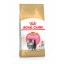 ALIMENTO SECO PARA GATINHO KITTEN PERSA