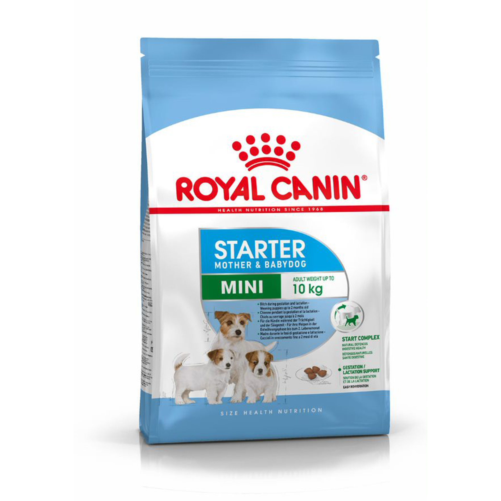 Alimento Seco Cão Mini Starter 1 KG ROYAL CANIN