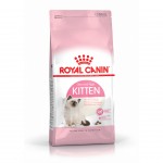 Alimento Seco Para Gatinho Júnior 2 KG ROYAL CANIN Alimento Seco Para Gatinho Júnior 2 KG ROYAL CANIN