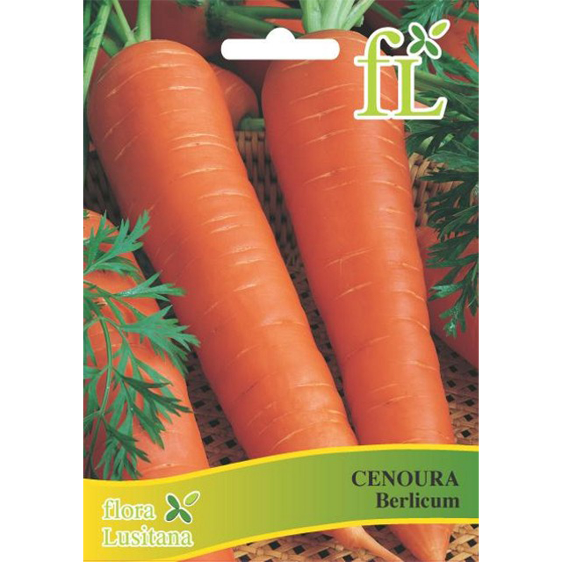 Cenoura Berlicum 5 G FLORA LUSITANA