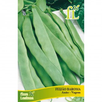Feijão Baroma Anão 100 G FLORA LUSITANA Feijão Baroma Anão 100 G FLORA LUSITANA