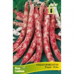 Feijão Borlotto Trepar 100 G FLORA LUSITANA Feijão Borlotto Trepar 100 G FLORA LUSITANA