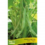 Feijão Fartura Anão 100 G FLORA LUSITANA Feijão Fartura Anão 100 G FLORA LUSITANA