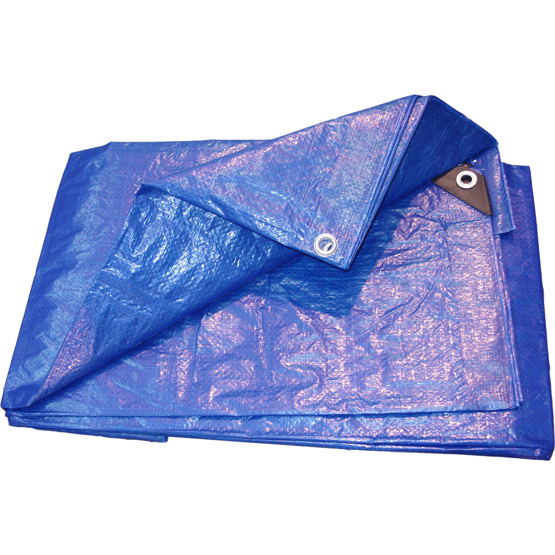 Encerado 100 G 4X6 M