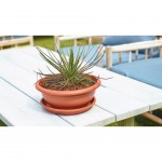 Taa Veneza Terracota 30 CM ARTEVASI