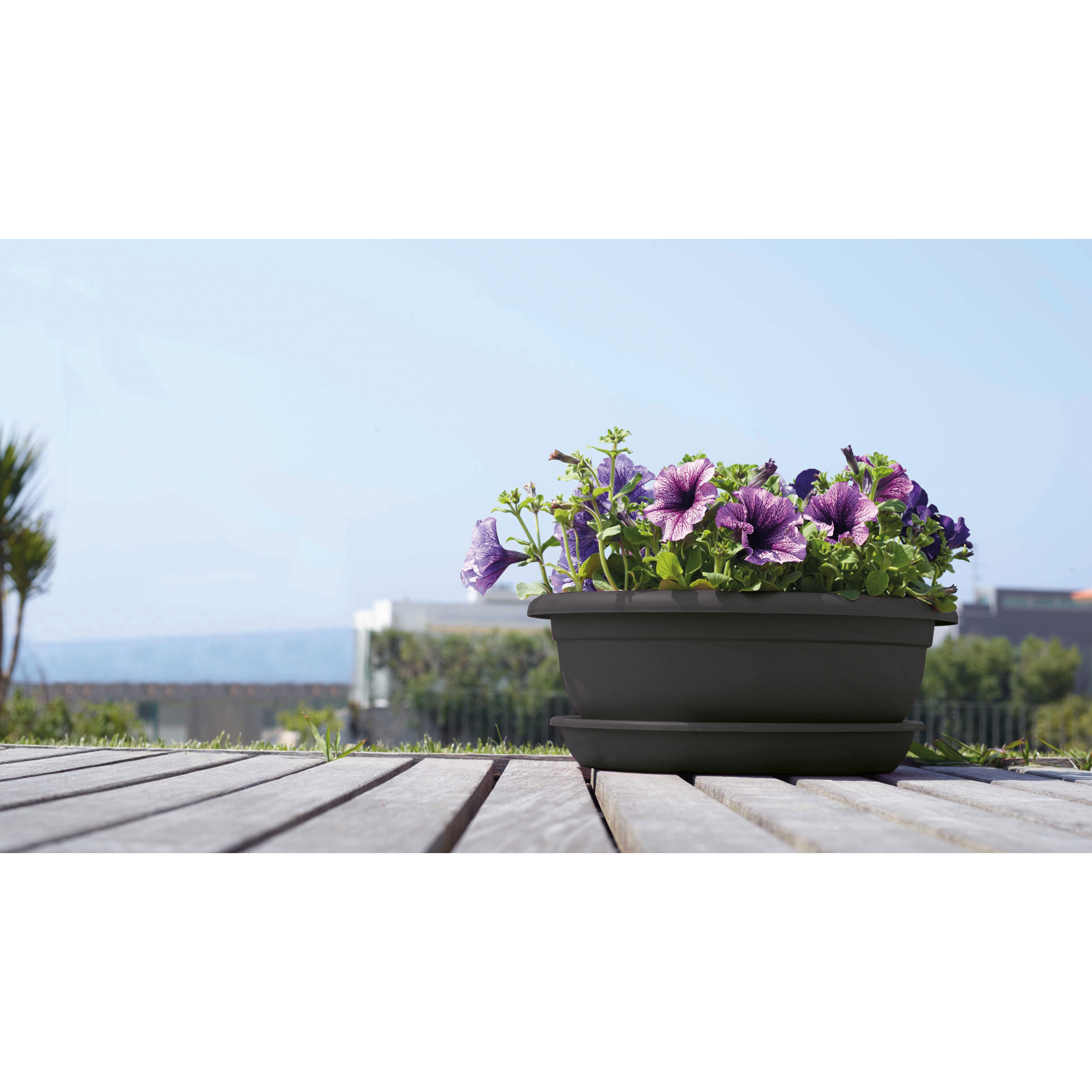 Taça Veneza Antracite 30 CM ARTEVASI