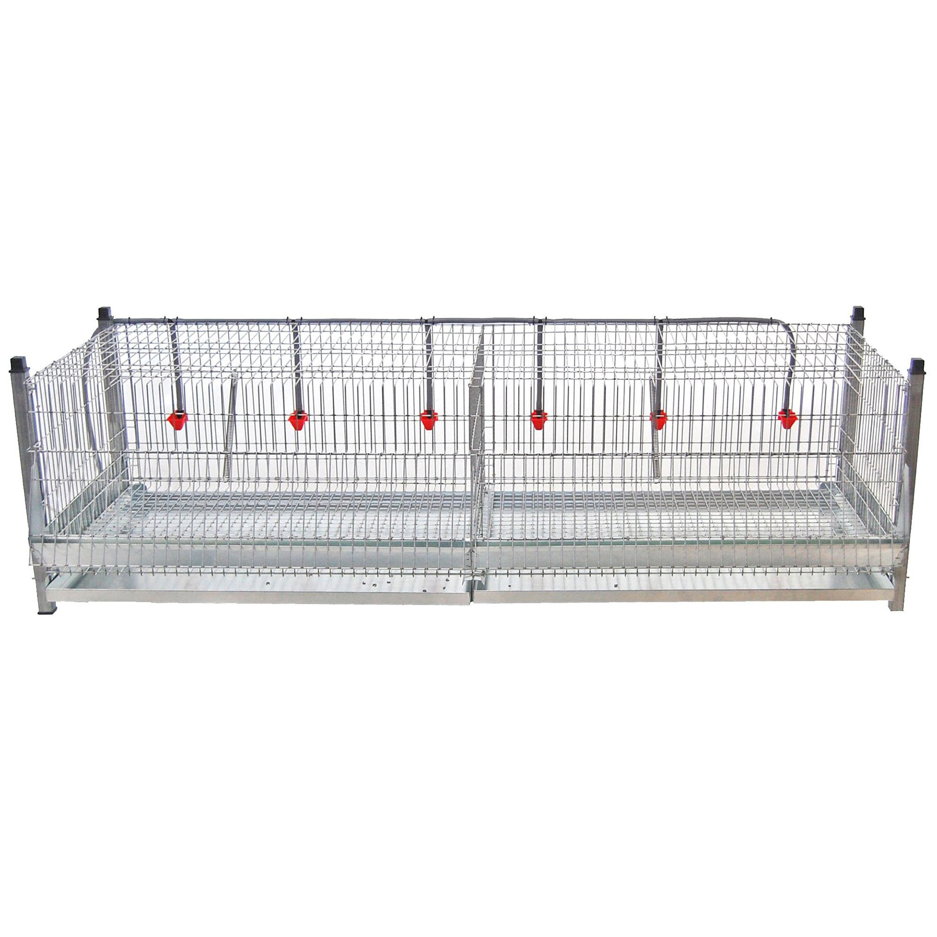 Jaula de Exposição para Galinhas GOMEZ Y CRESPO