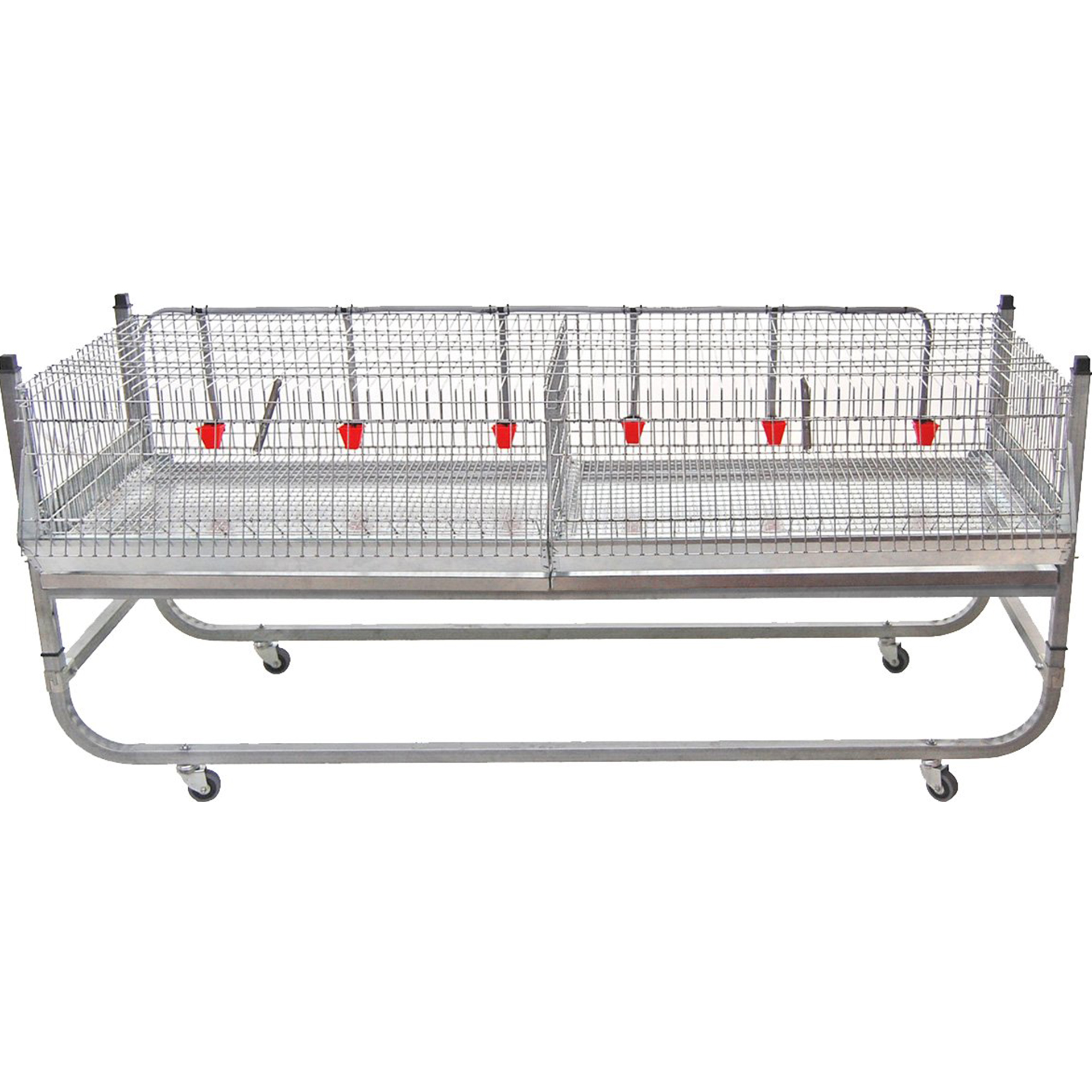 JAULA EXPOSIÇÃO P/FRANGOS GOMEZ Y CRESPO