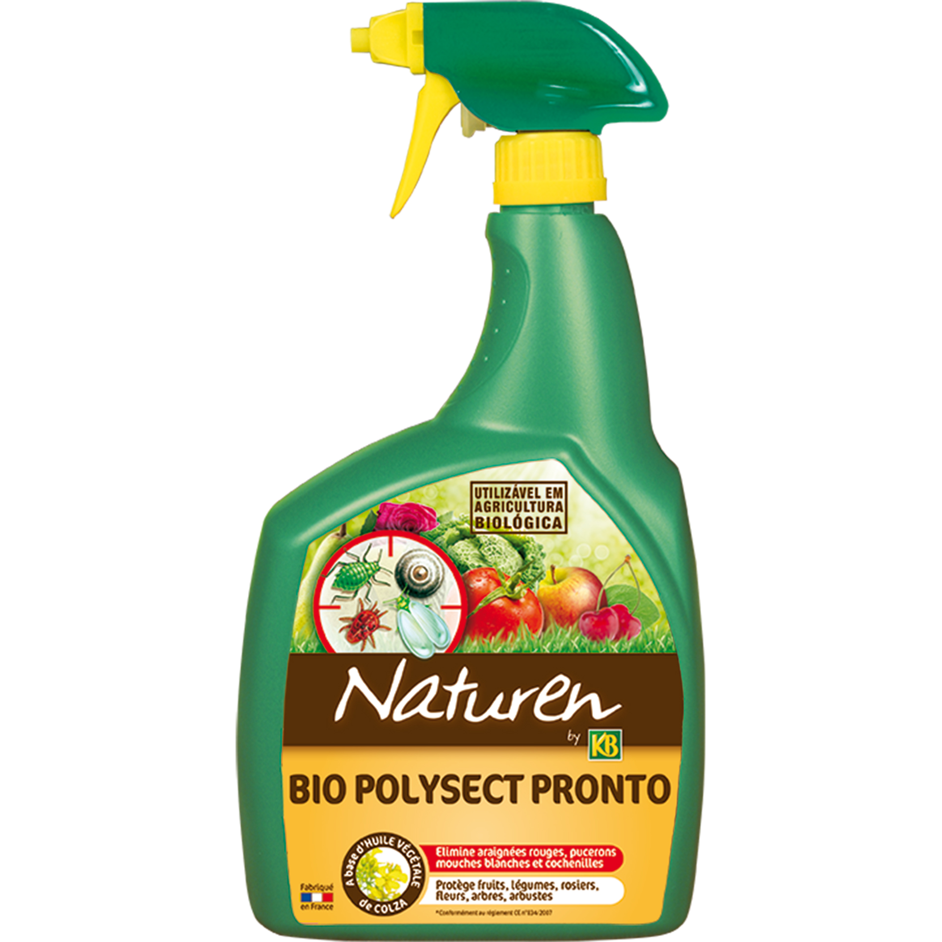 Inseticida Polysect Pronto 800 ML KB