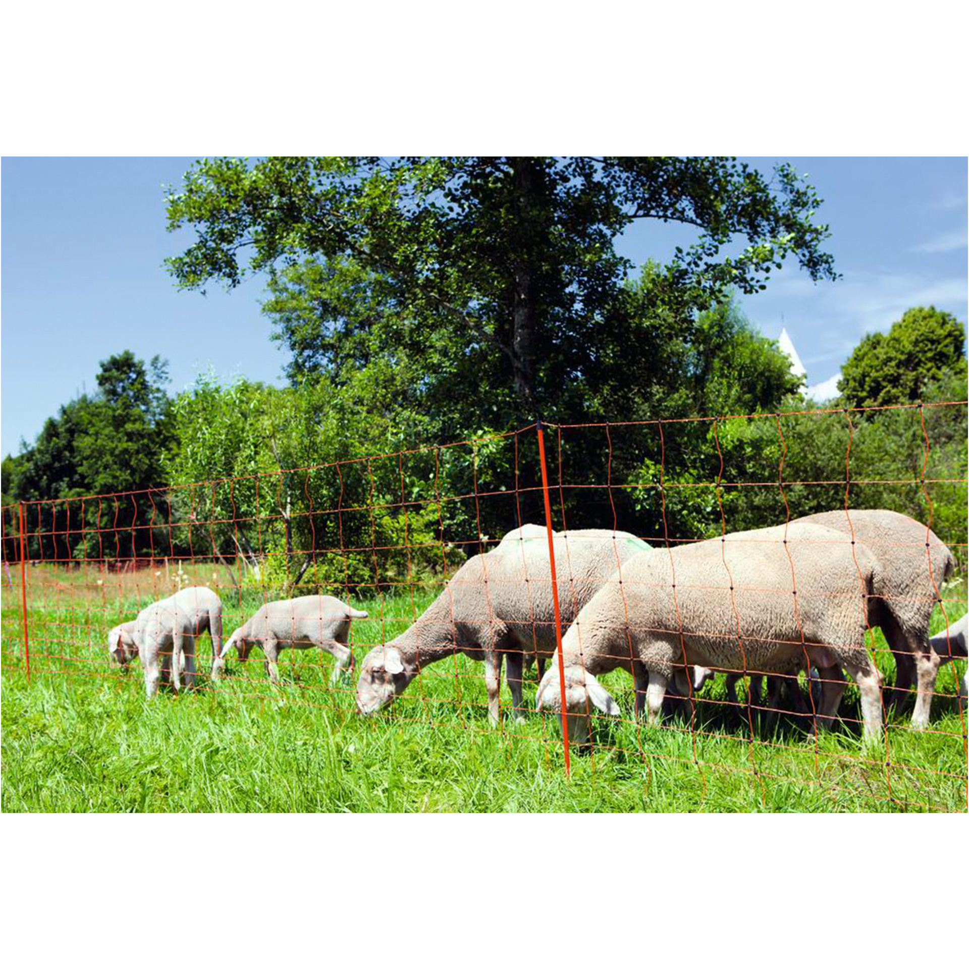 Rede Eléctrica Para Ovinos 108 CM X 50 M KERBL