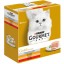 Alim. Hmido  Gato Mousee  Gold