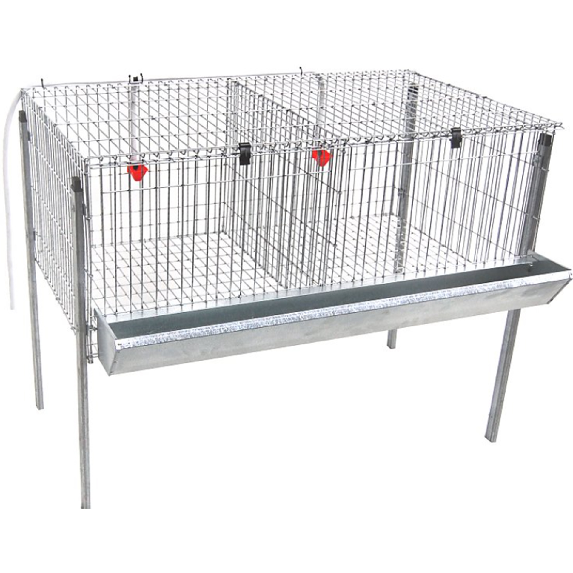 Jaula para Frangos 2 Divisórias GOMEZ Y CRESPO