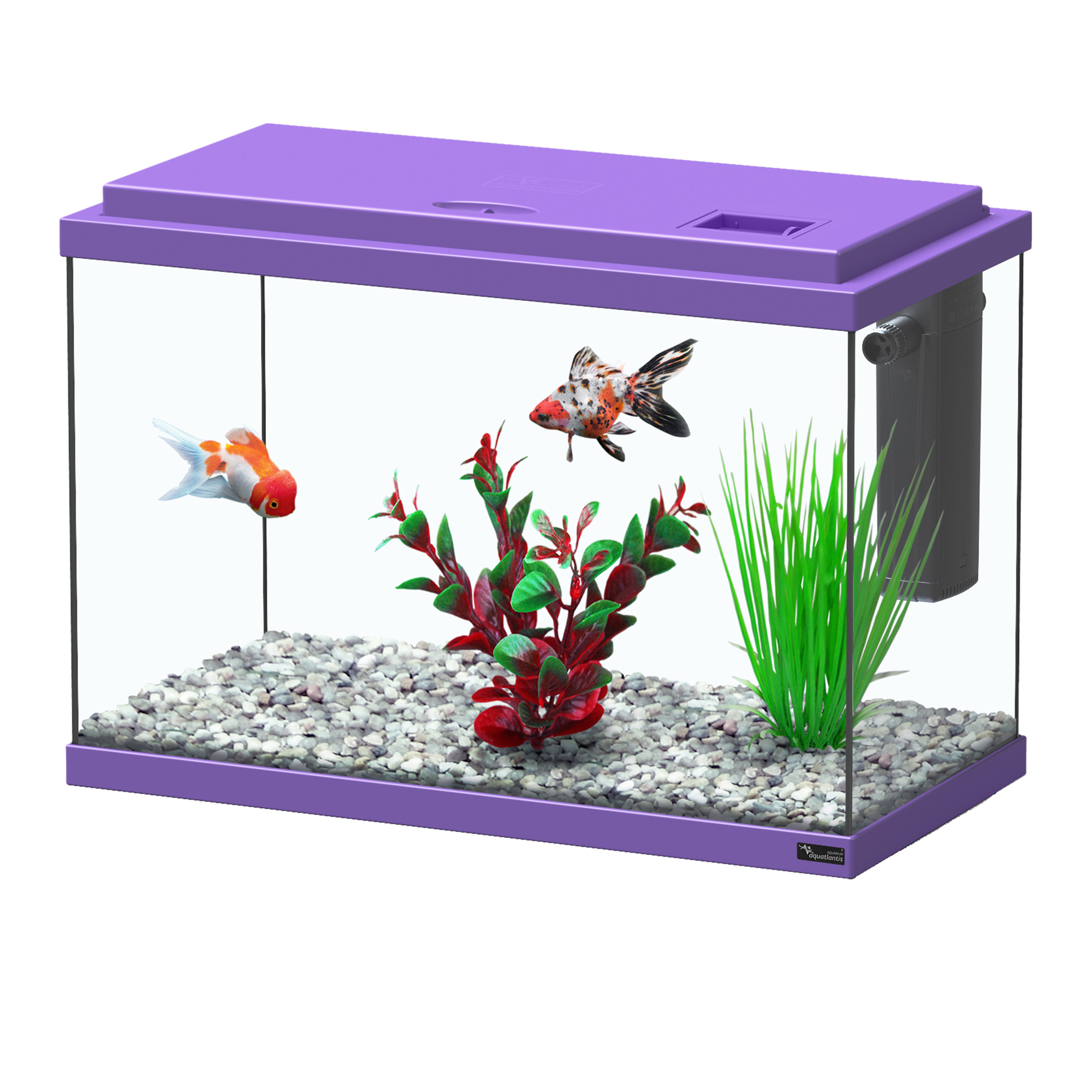 Aquario FUNNY FISH Roxo 15LT