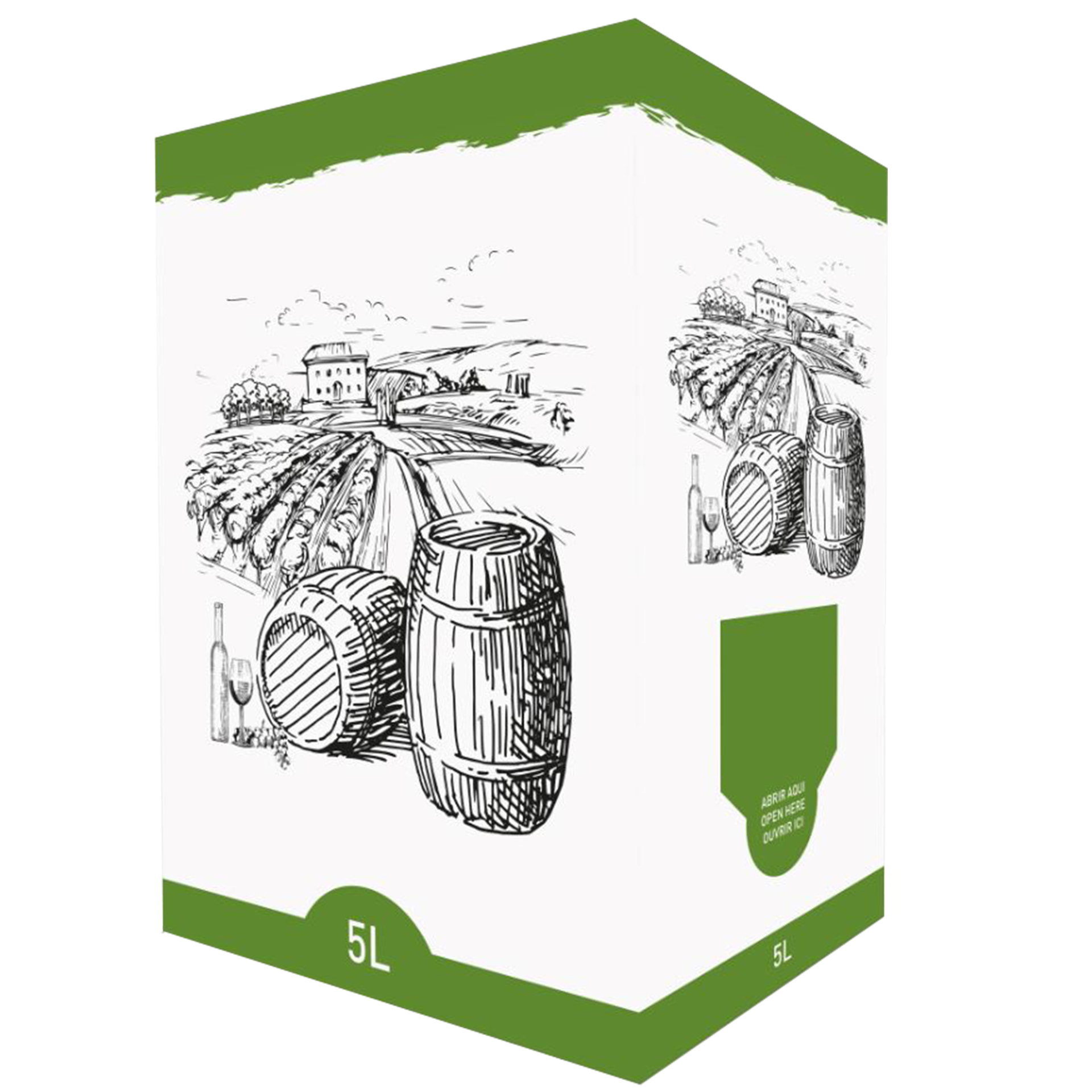 Caixa Vinis Branco Para Bib 5 L