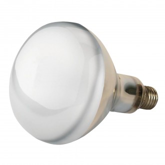 Lamp Aquecimento Transp 250W PHILIPS