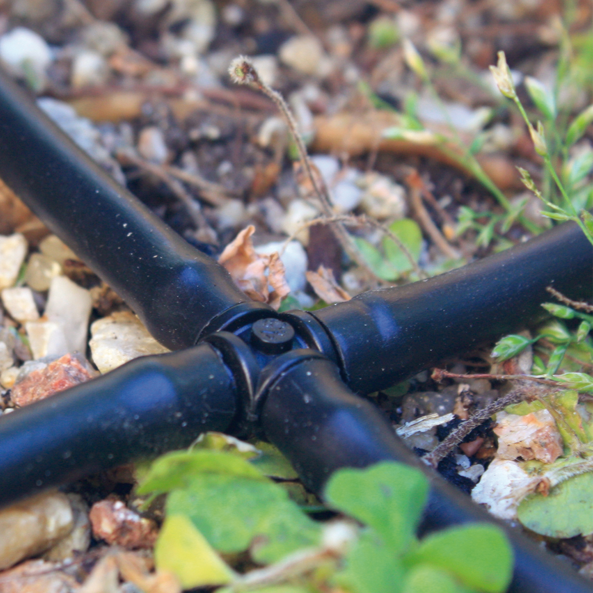 Cruzeta 4 MM 10UN ALTADEX